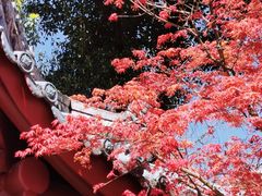 -成都市文化公园