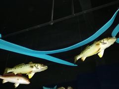 -同济大学四平路校区深海探索馆