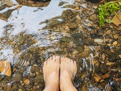 -三门江国家森林公园