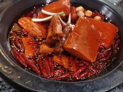 牛油红锅-蜀大侠火锅(建设路第五大道店)