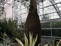 -南山植物园