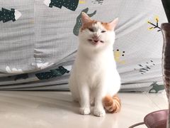 -大宁灵石公园西门票处