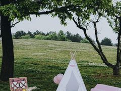 -云漫湖生态度假公园