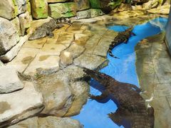 -顺德南宏海立方海洋公园
