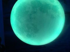 -天津梵高星空艺术馆(天河城旗舰店)