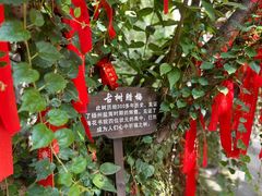 -湖南大学-中国书院博物馆