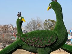 -武汉紫薇都市田园