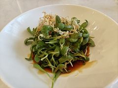 油醋茼蒿苗-香山湖华璋大酒店(新浦路店)