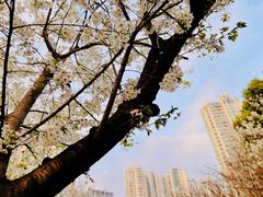 -苏州河梦清园环保主题公园