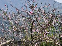 -龙潭生态旅游度假区