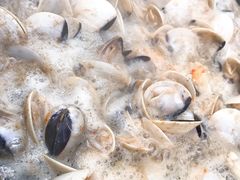 -顺德哥卜卜贝(旗舰店)