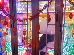 -喜鹊音乐酒馆(西街店)