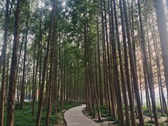 -云龙湖旅游景区