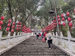-老君山