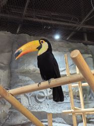 -Zoolung Zoolung动物主题公园(海信广场店)