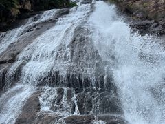 -广州市流溪河国家森林公园