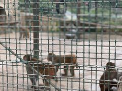 -南京金牛湖风景区