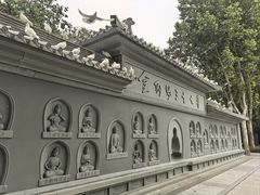 -西安大兴善寺