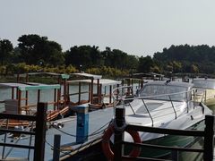 -大湾区中央湿地公园