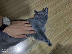 -龟与熊猫宠物公园(南坪店)