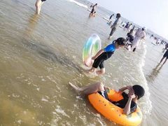 -日照海滨国家森林公园