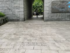 -重庆园博园
