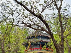 -丹东凤凰山景区