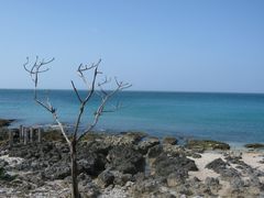 -鹅銮鼻公园
