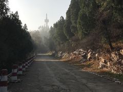 -原山国家森林公园