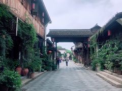 -运河游船(武林门码头)