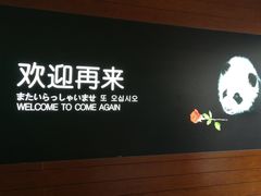 景点-成都大熊猫繁育研究基地