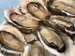 -听涛雅苑百味饺子老家菜馆