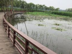 -绿堤公园