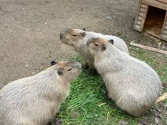 -宁波野生动物园