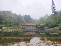 -云溪植物园