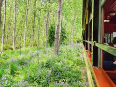 -合肥滨湖国家森林公园