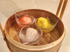 泡在温泉里的虾饺-一盒小幸运