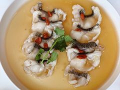 花雕芙蓉蒸石斑鱼球-东海朗廷酒店-唐阁T’ANG COURT 中餐厅