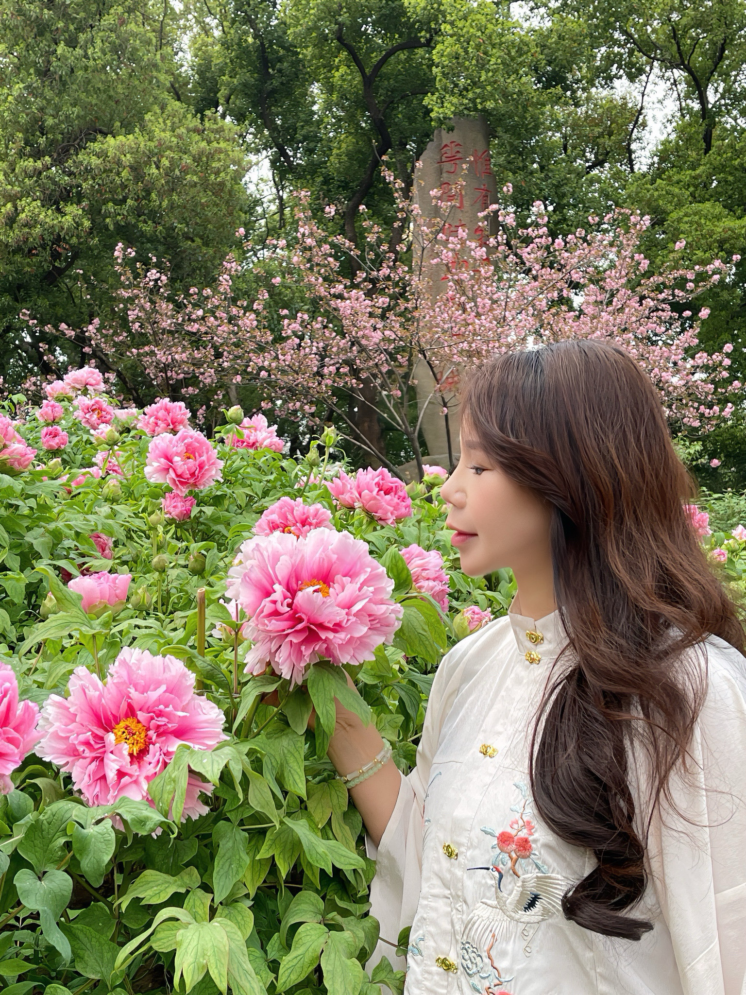 🌸武汉春日限定