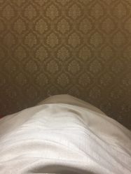 -上海星和医疗美容