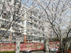 -高东镇樱花园