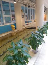 -沈阳市妇婴医院