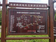 -盐城丹顶鹤湿地生态旅游区