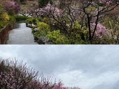 -宝鸡植物园