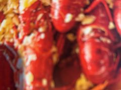 -杨氏青龙虾·羊蝎子(托乐嘉店)