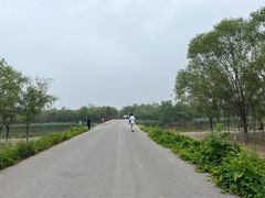 -西青郊野公园