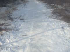 -丁香湖公园