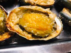 -潮庭·大连海鲜·炭火烧烤·扇贝王(大连店)