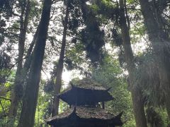 -青城山