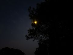 -艾溪湖湿地公园